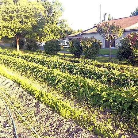 Bed & Breakfast Du Puy De L'etang 4*