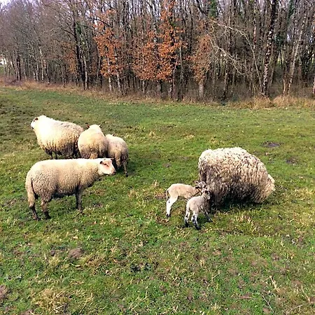 Du Puy De L'etang 4*