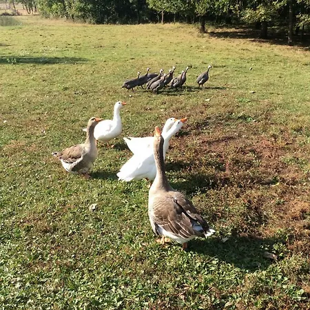 Du Puy De L'etang فندق مبيت وإفطار 4*