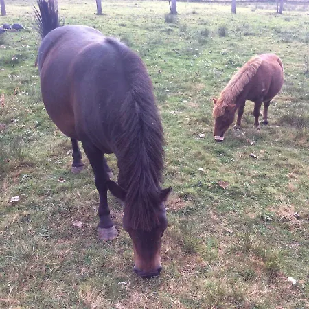 Du Puy De L'etang فندق مبيت وإفطار