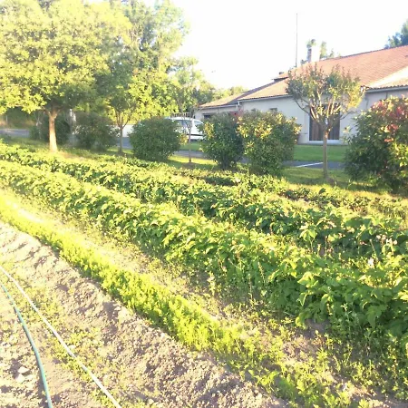 Du Puy De L'etang 4* Laruscade