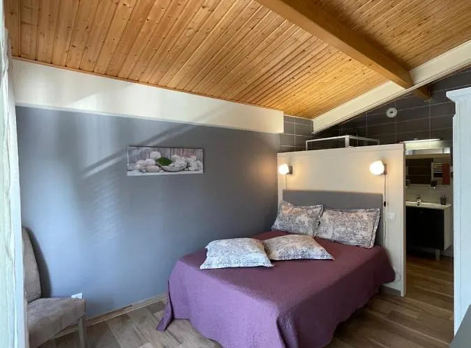 Du Puy De L'etang Laruscade