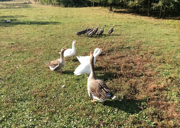 Du Puy De L'etang לינה וארוחת בוקר 4*